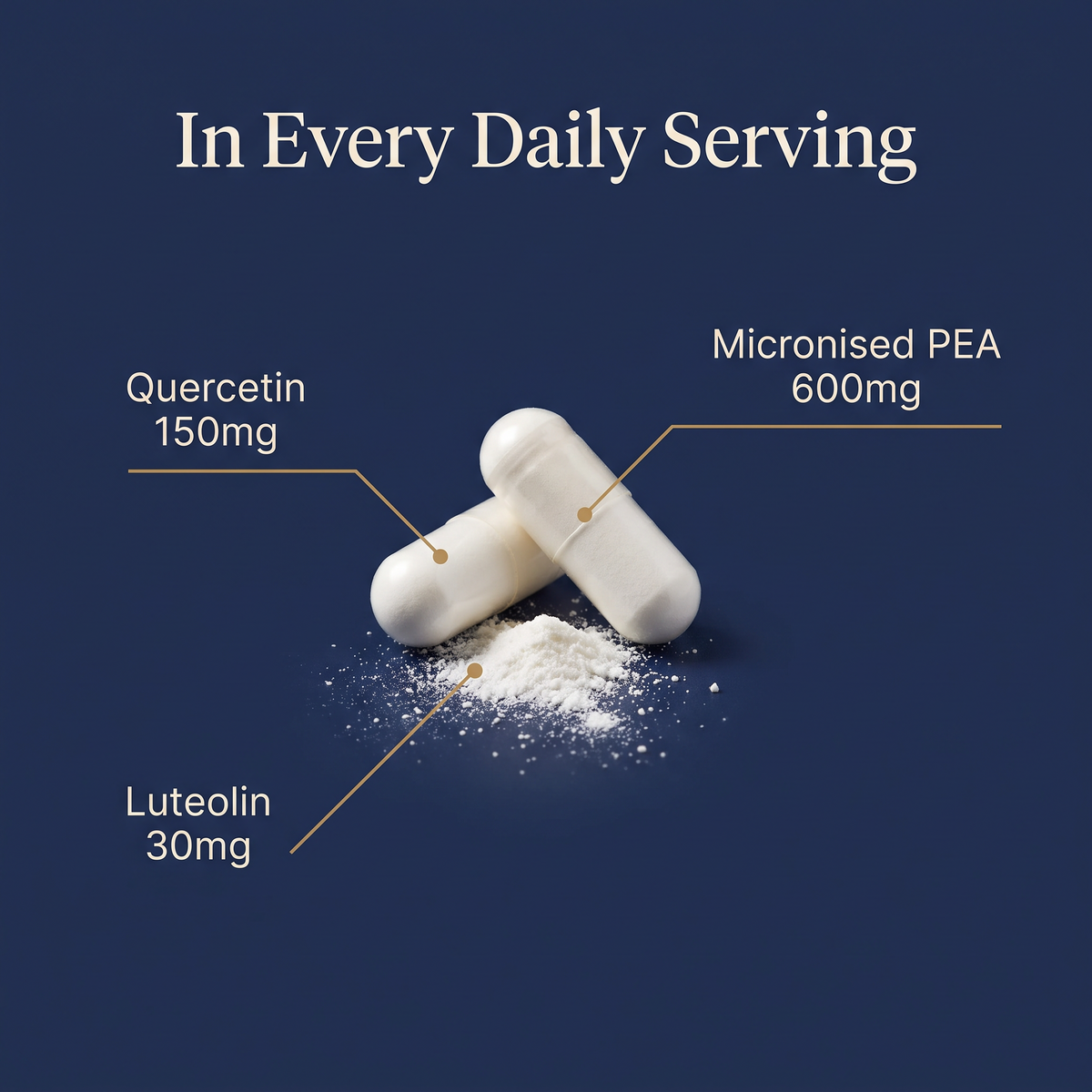 In every daily serving: micronised PEA 600mg, quercetin 150mg, luteolin 30mg